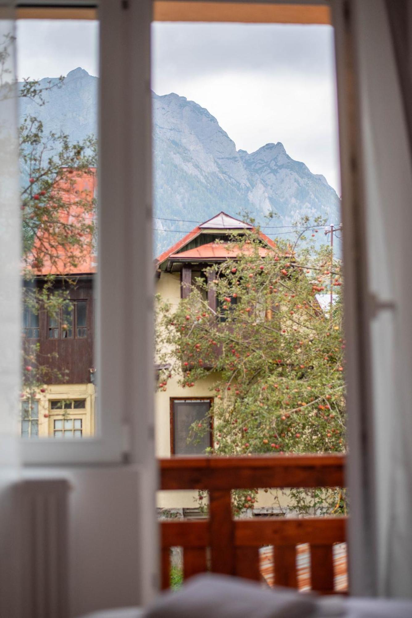 Casa Bucegi Buşteni Exteriér fotografie